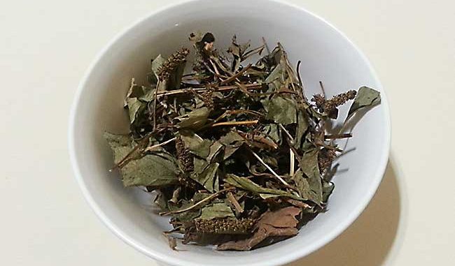 dokudami-11 どくだみ茶の作り方
